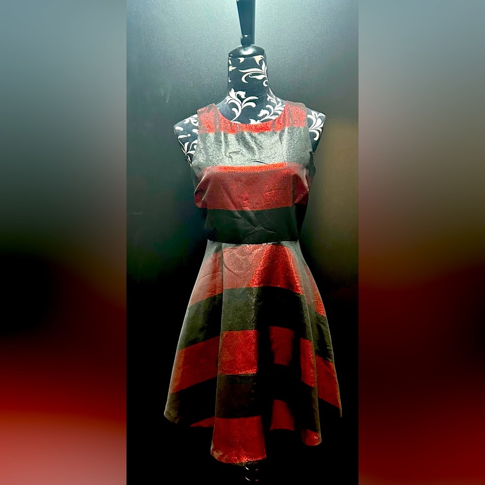 NWOT Seasonal Dress 👗❗️